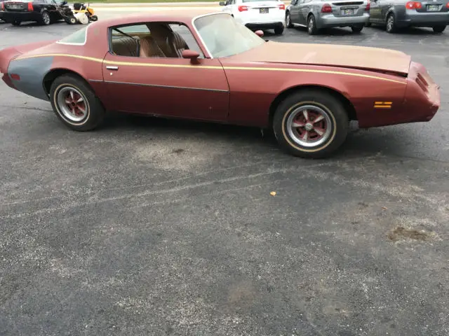 1979 Pontiac Firebird