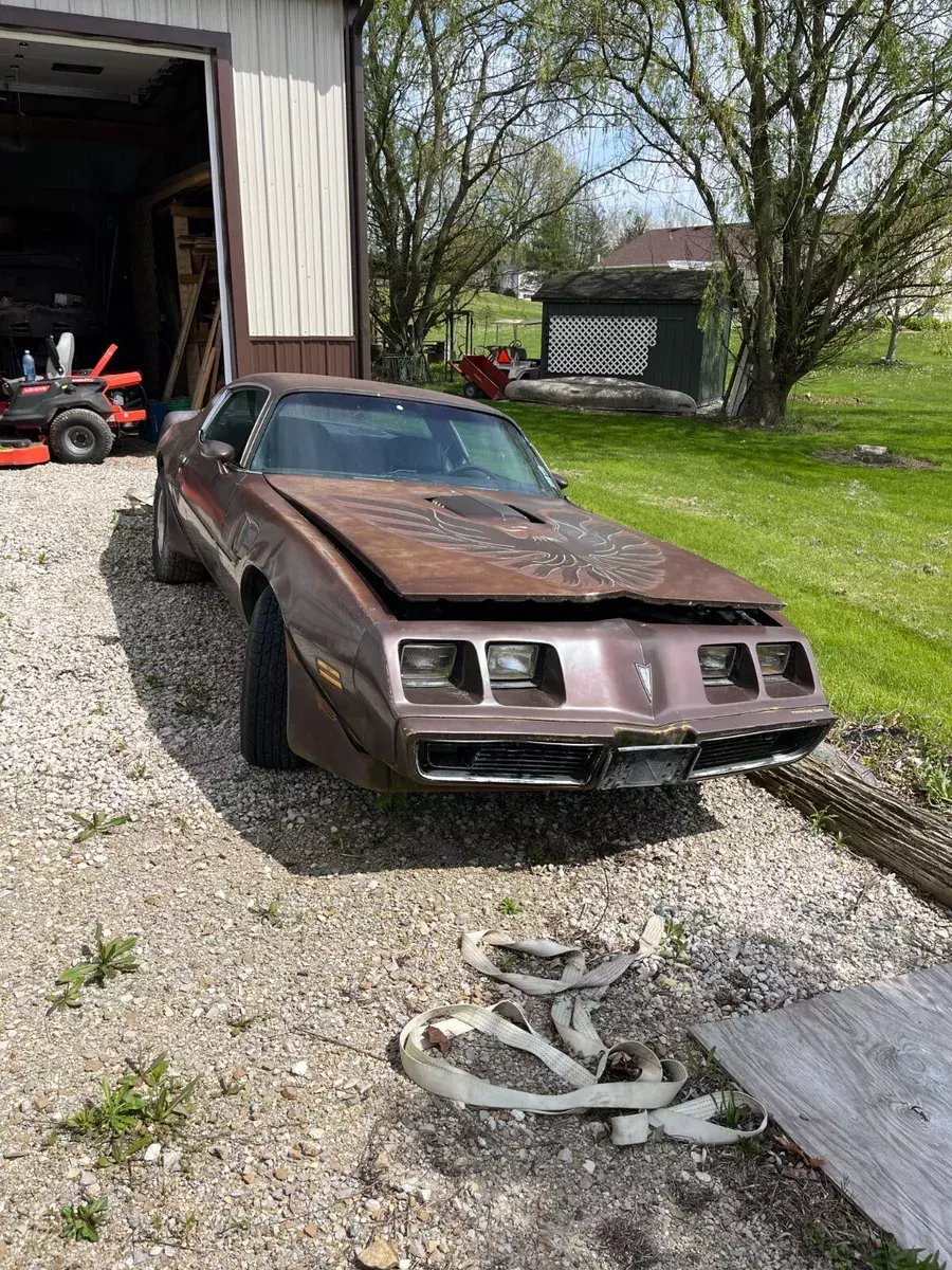 1979 Pontiac Firebird TA