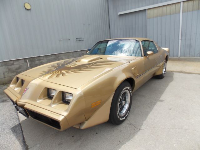 1979 Pontiac Firebird Trans Am