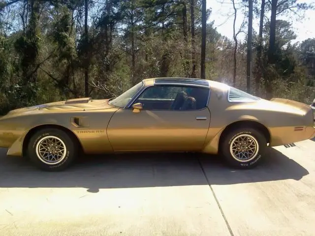 1979 Pontiac Firebird TRANS AM 6.6 Liter