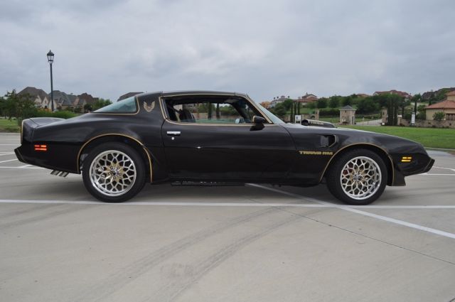 1979 Pontiac Firebird TRANS AM