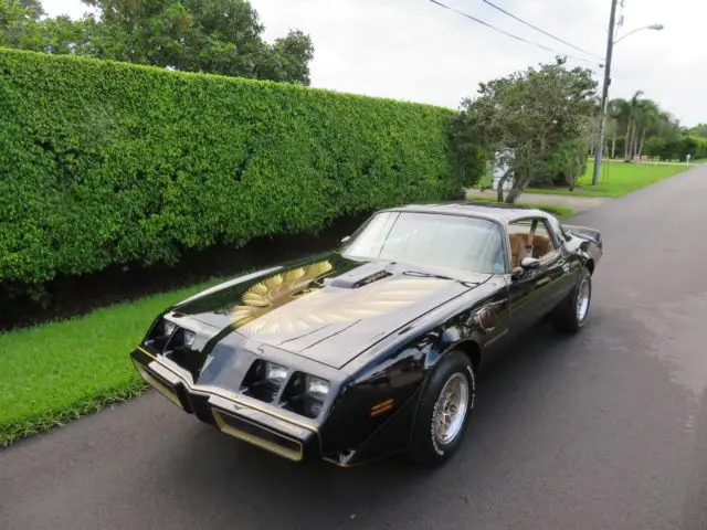 1979 Pontiac Trans Am SE Y84