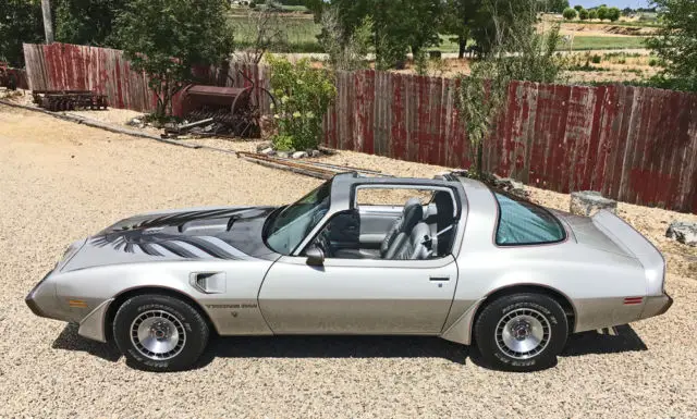 1979 Pontiac Trans Am SPECIAL EDITION