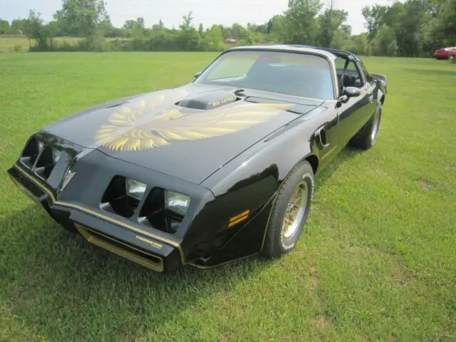 1979 Pontiac Trans Am Deluxe