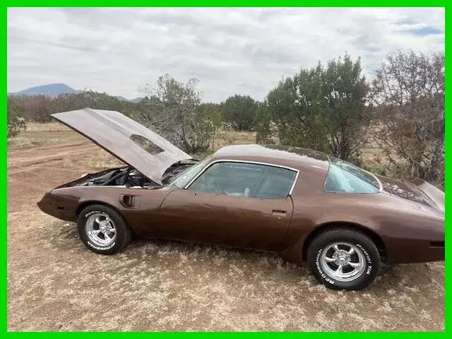 1979 Pontiac Trans Am 2dr Classic Muscle Car