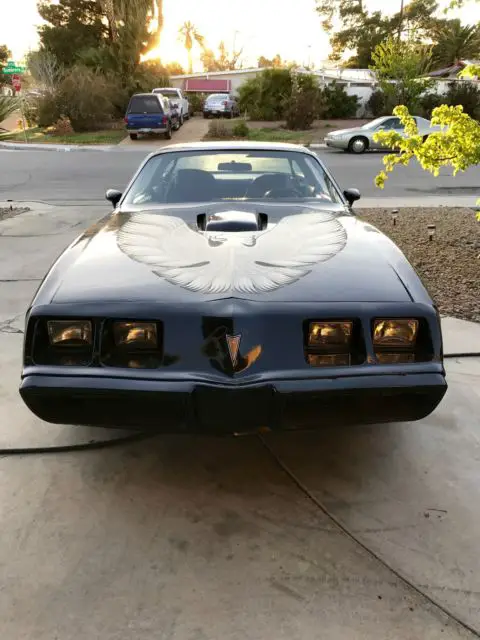 1979 Pontiac Firebird Trans Am