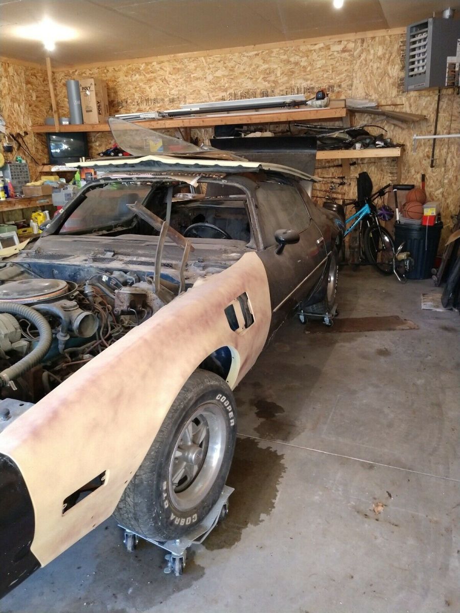 1979 Pontiac Trans Am