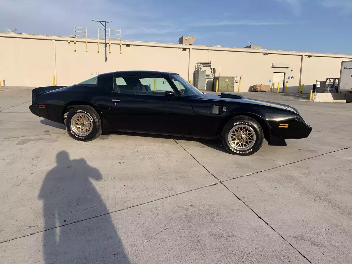 1979 Pontiac Trans Am y84