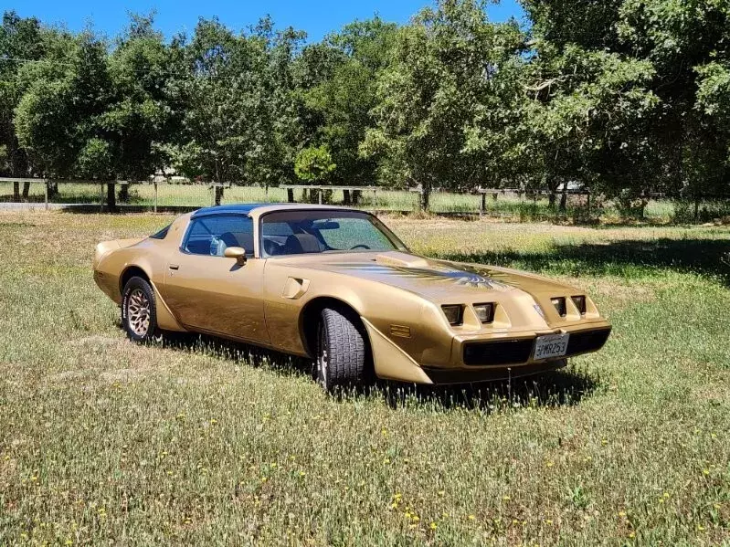 1979 Pontiac Trans Am Trans Am