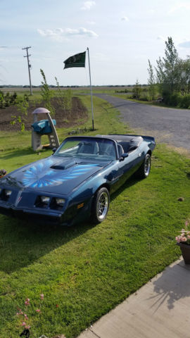 1979 Pontiac Trans Am