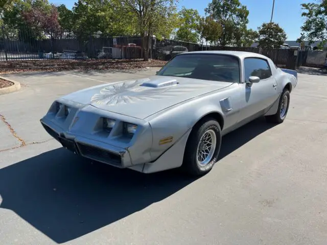 1979 Pontiac Trans Am L78 - ws6