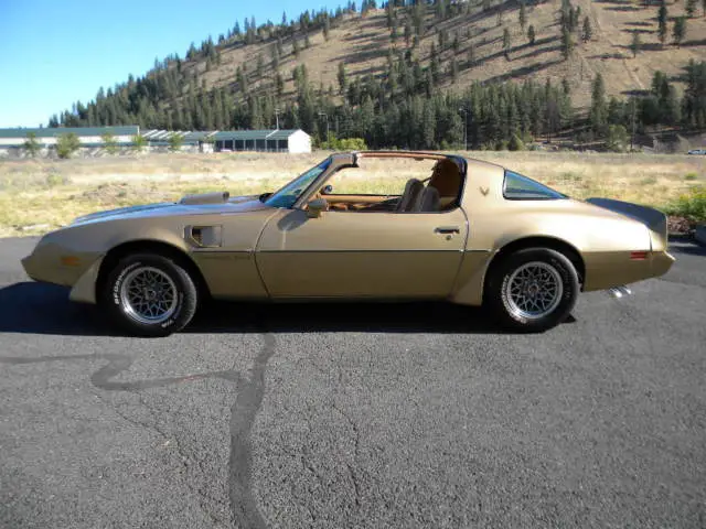 1979 Pontiac Trans Am