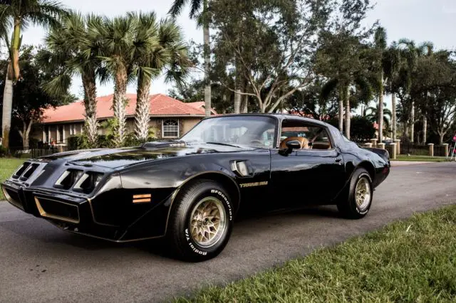 1979 Pontiac Trans Am SE Y84