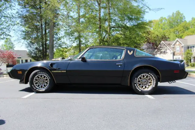 1979 Pontiac Trans Am Y84 Special Edition