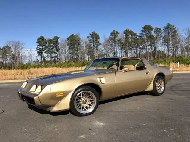 1979 Pontiac Firebird Trans am