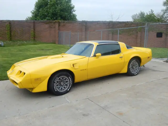 1979 Pontiac Trans Am Firebird