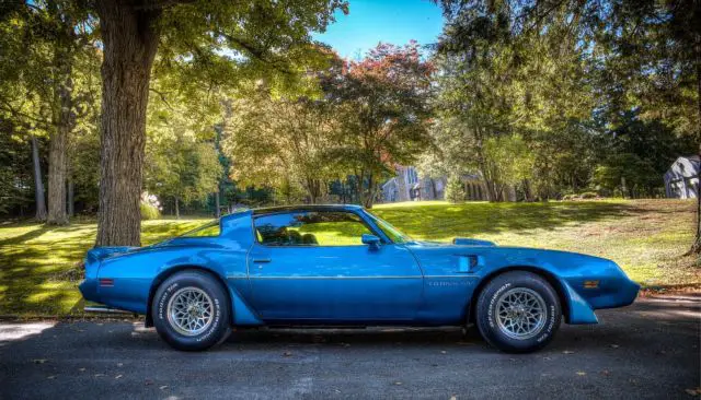 1979 Pontiac Trans Am w72