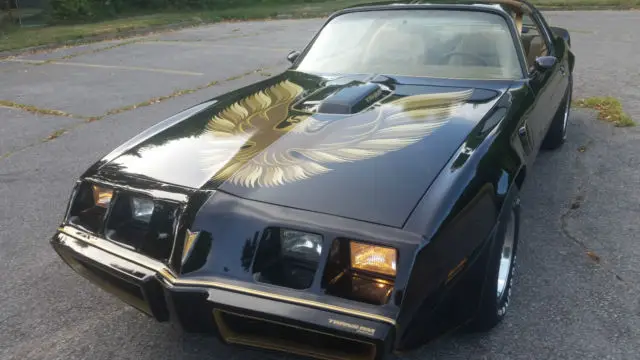 1979 Pontiac Trans Am WS6,W72 BANDIT CLONE