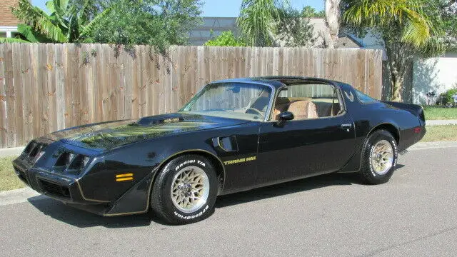 1979 Pontiac Firebird Bandit