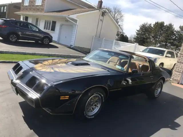 1979 Pontiac Trans Am SE Y84