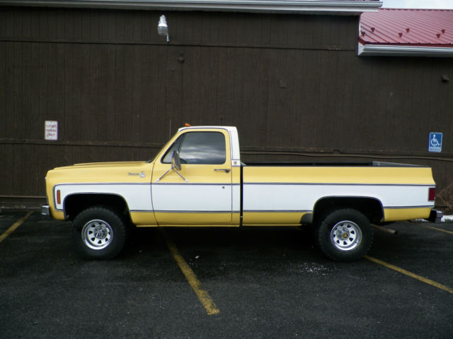 1979 Chevrolet C/K Pickup 1500