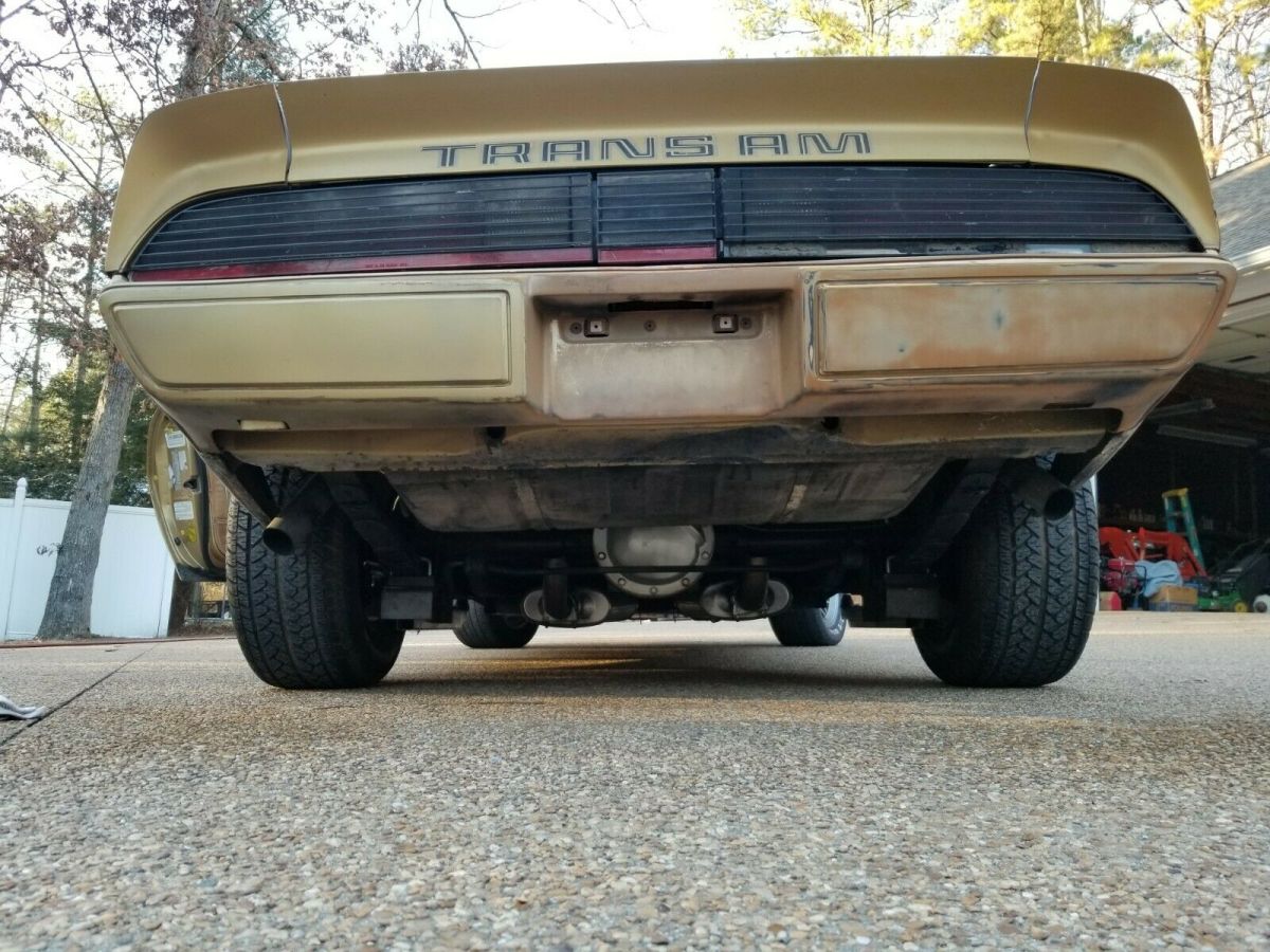 1979 Pontiac Trans Am Trans am