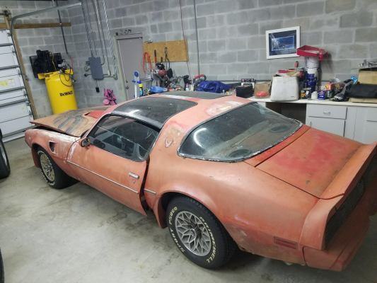 1979 Pontiac Trans Am