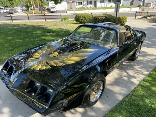 1979 Pontiac Trans Am California Rust free car. T-Tops. Bandit