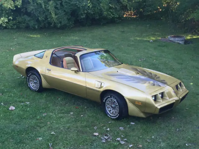 1979 Pontiac Trans Am Trans am