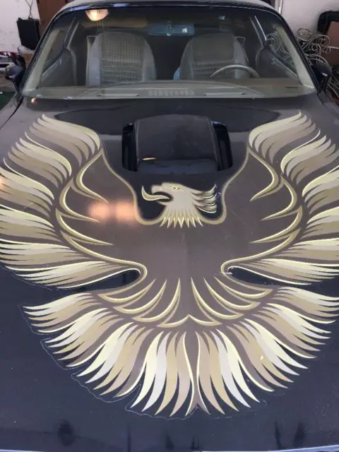 1979 Pontiac Trans Am SE