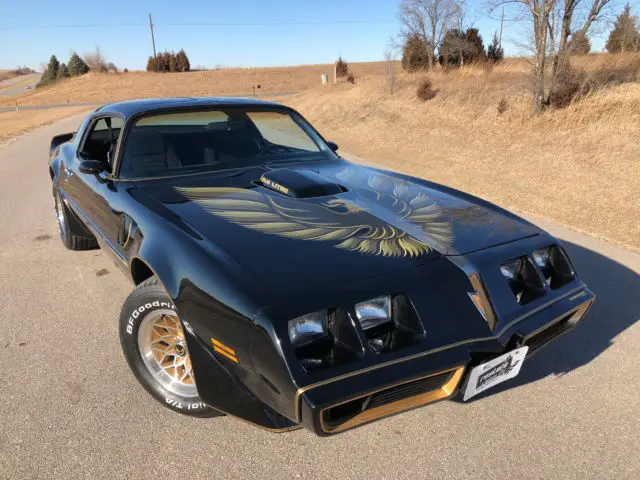 1979 Pontiac Trans Am - Survivor Y84 Special Edition