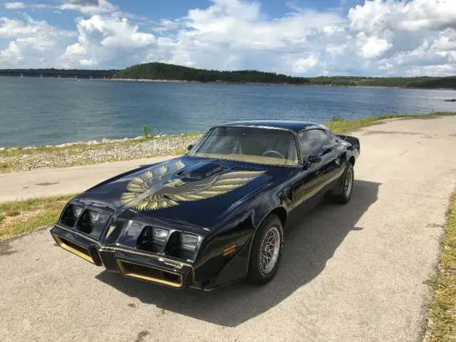 1979 Pontiac Trans Am SE/WS6