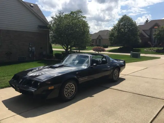 1979 Pontiac Trans Am ws4