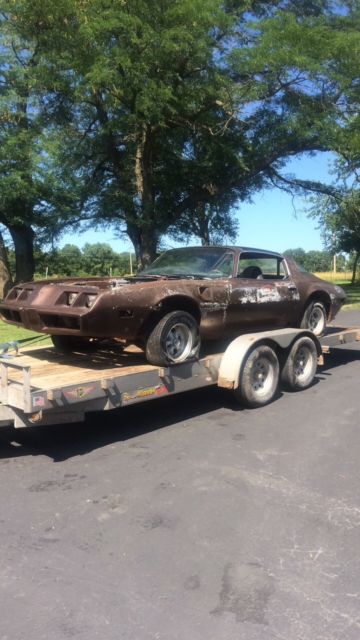 1979 Pontiac Trans Am T Top