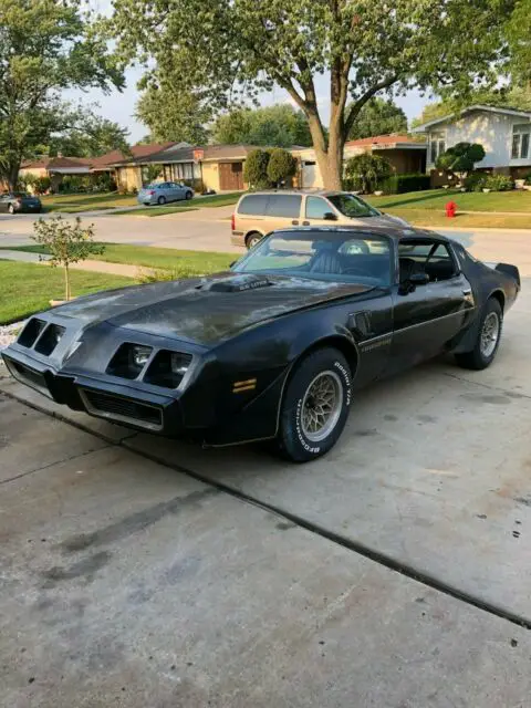 1979 Pontiac Trans Am Y84 WS6