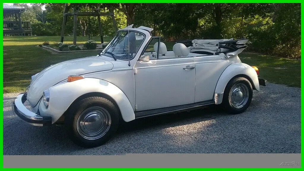 1979 Volkswagen Superbug