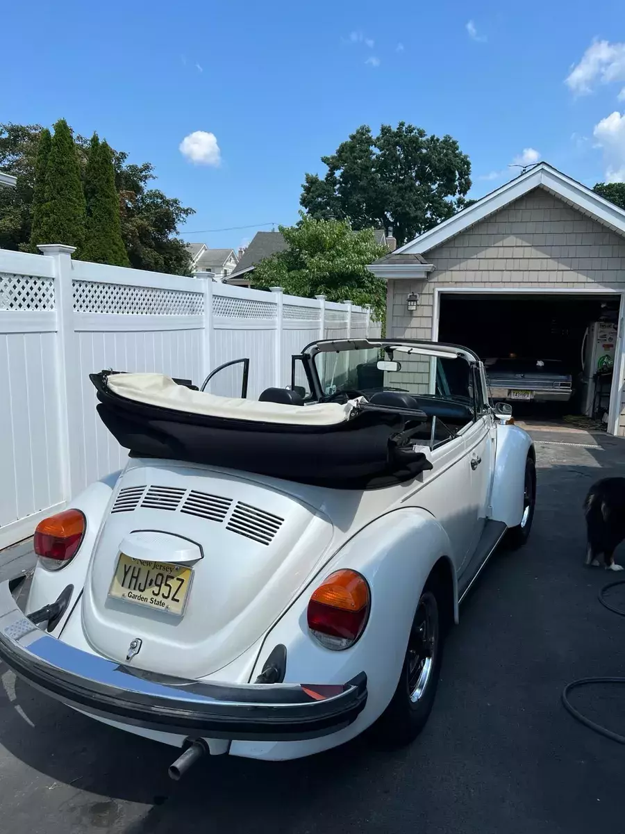 1979 Volkswagen Beetle Cabriolet oem