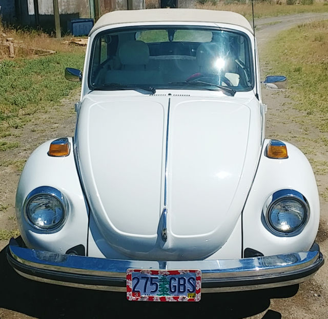 1979 Volkswagen Beetle - Classic Chrome