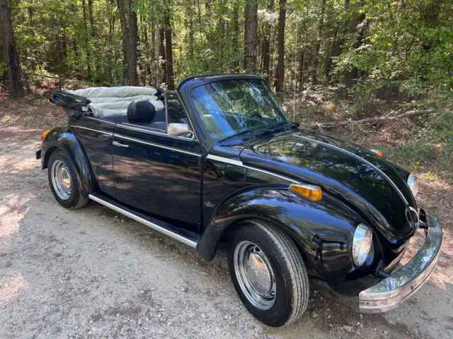 1979 Volkswagen Beetle (Pre-1980)