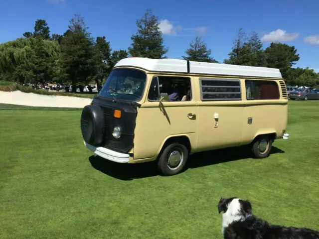 1979 Volkswagen Bus/Vanagon