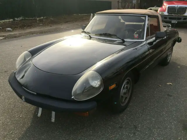 1980 Alfa Romeo Spider Veloce