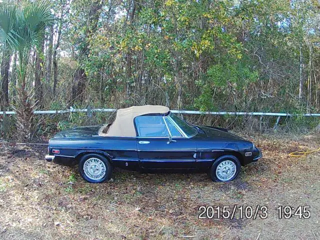 1980 Alfa Romeo Spider