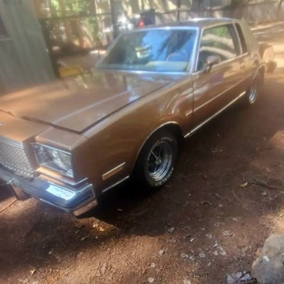 1980 Buick Regal