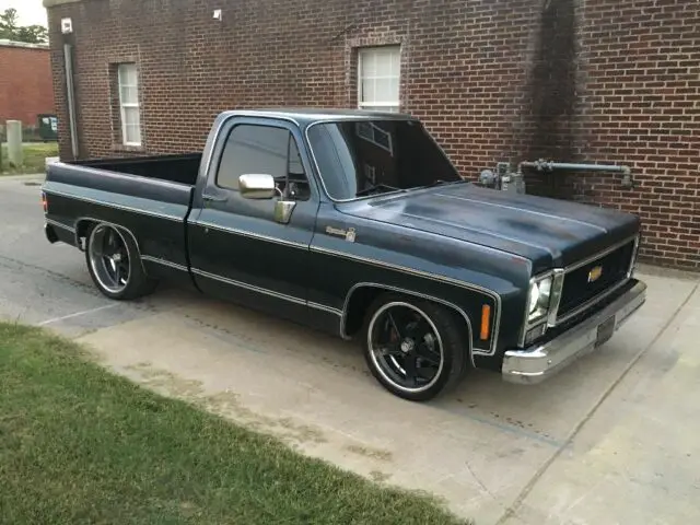 1980 Chevrolet Other Pickups