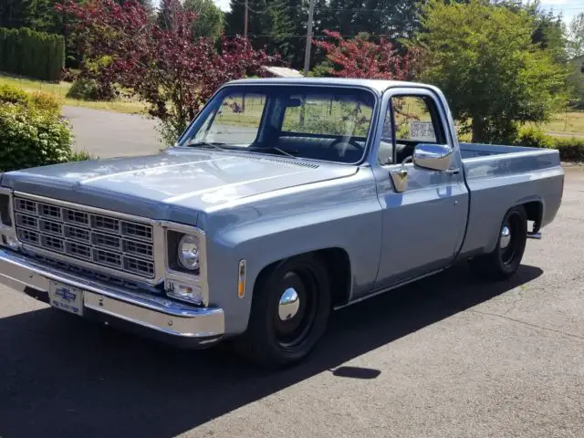 1980 Chevrolet C-10