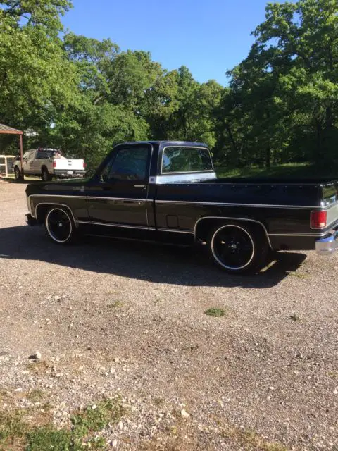 1980 Chevrolet C/K Pickup 1500