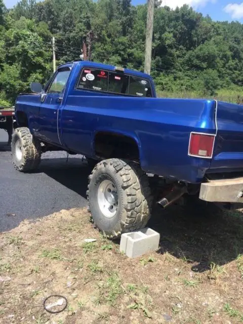 1980 Chevrolet C/K Pickup 1500