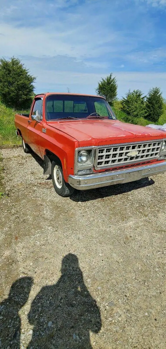 1980 Chevrolet C-10