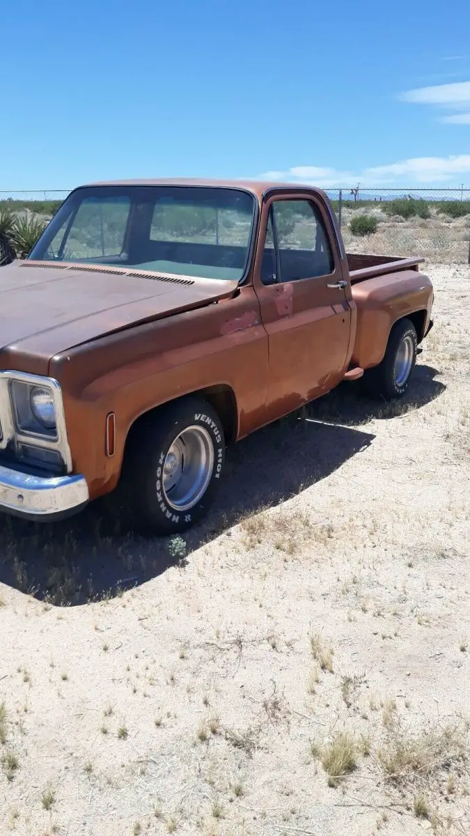 1980 Chevrolet C-10