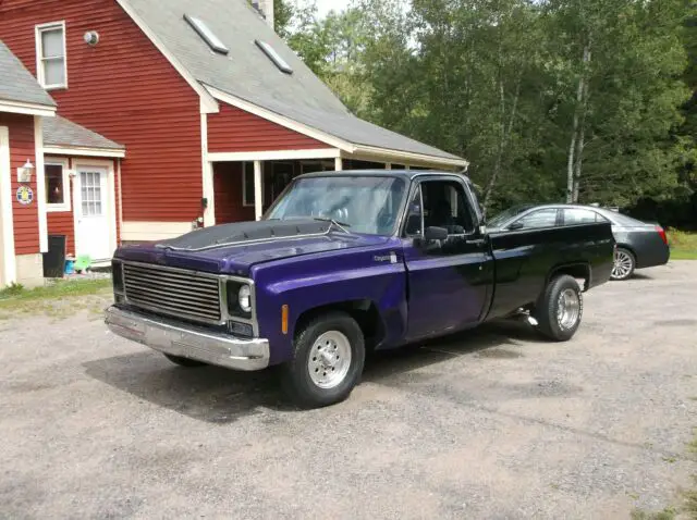 1980 Chevrolet C-10 Deluxe